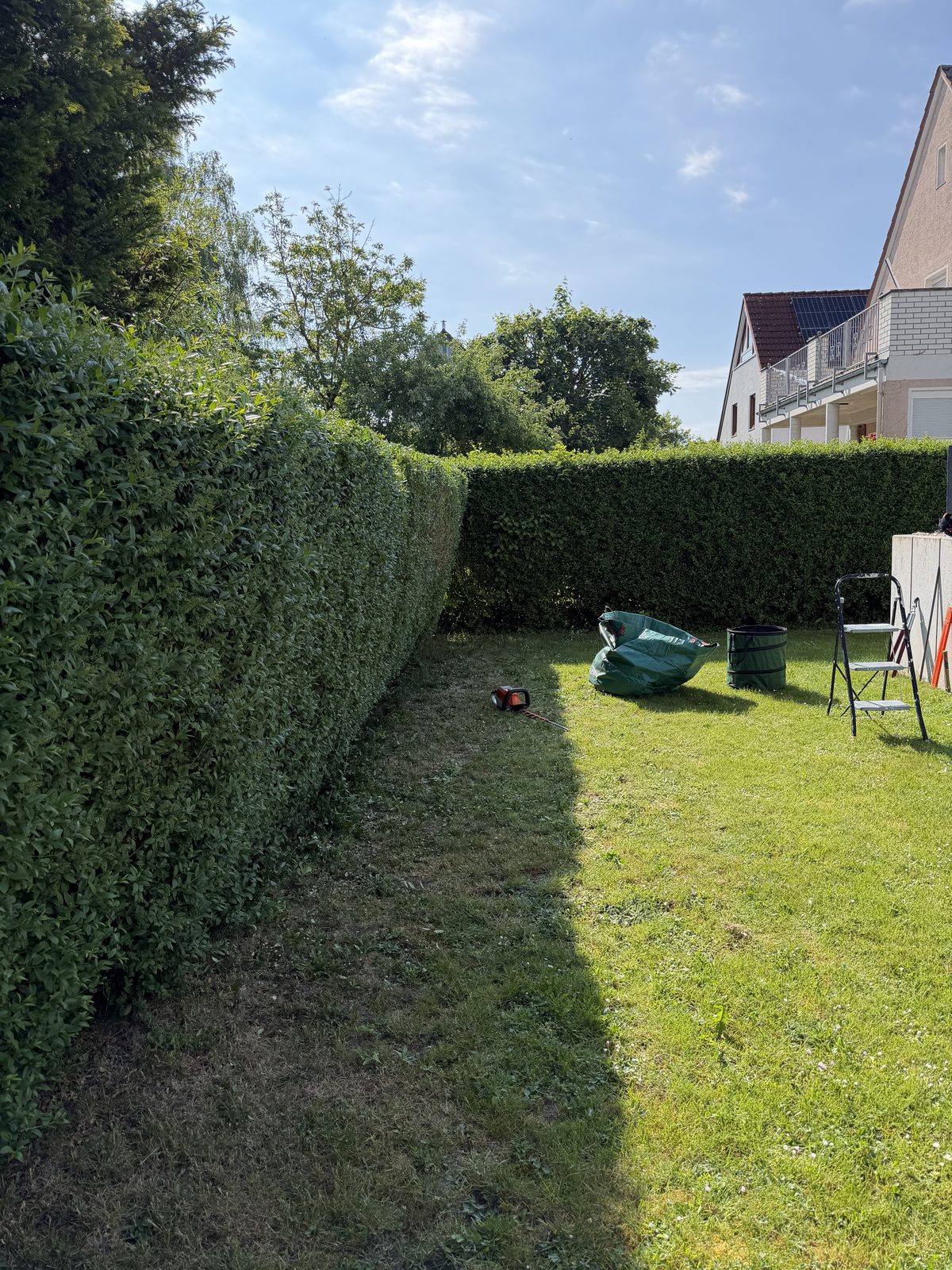 Hecke nach dem Schnitt — sauber und gerade